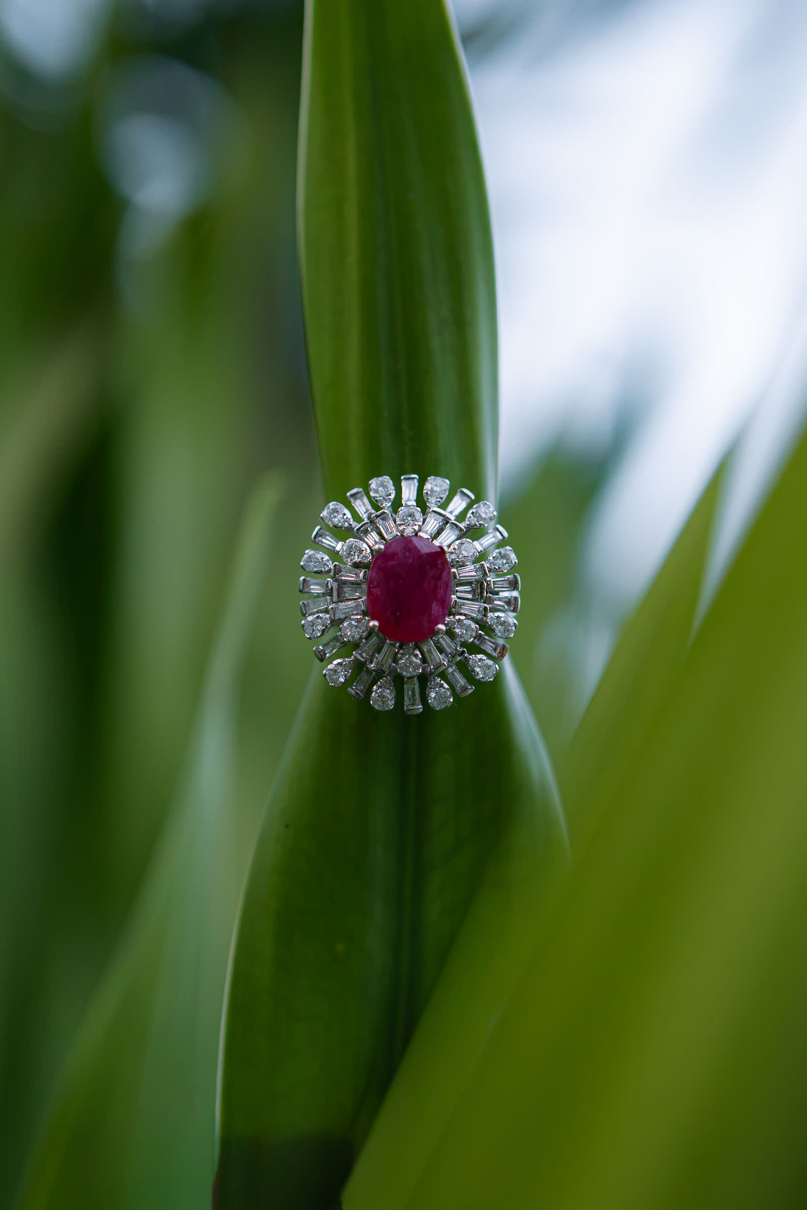 Aurora Ring — an oval ruby at the center of a rosette of baguette and brilliant diamonds