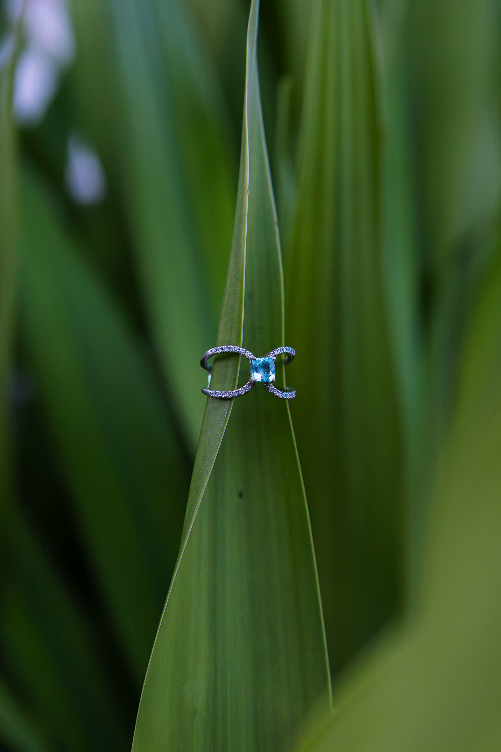 Duo Ring — A small Paraíba tourmaline on a split shank.