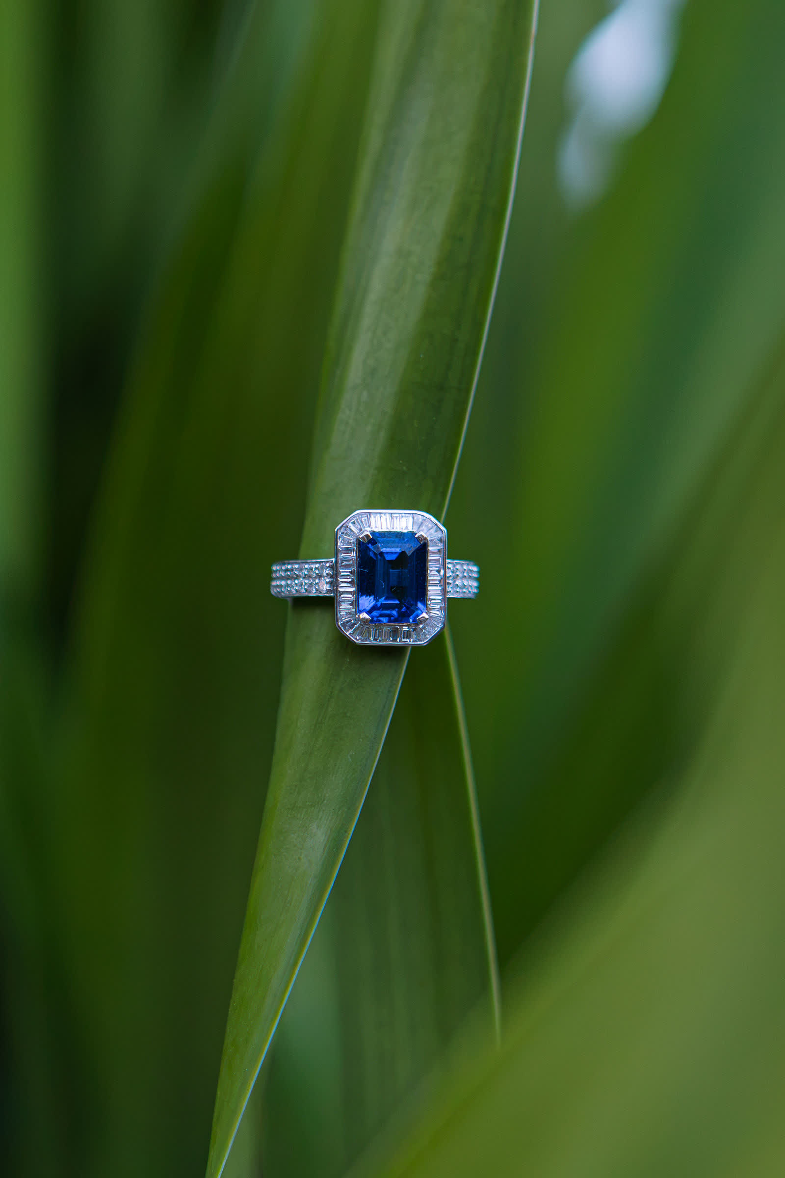 Sovereign Ring — An emerald-cut blue sapphire under a double halo.