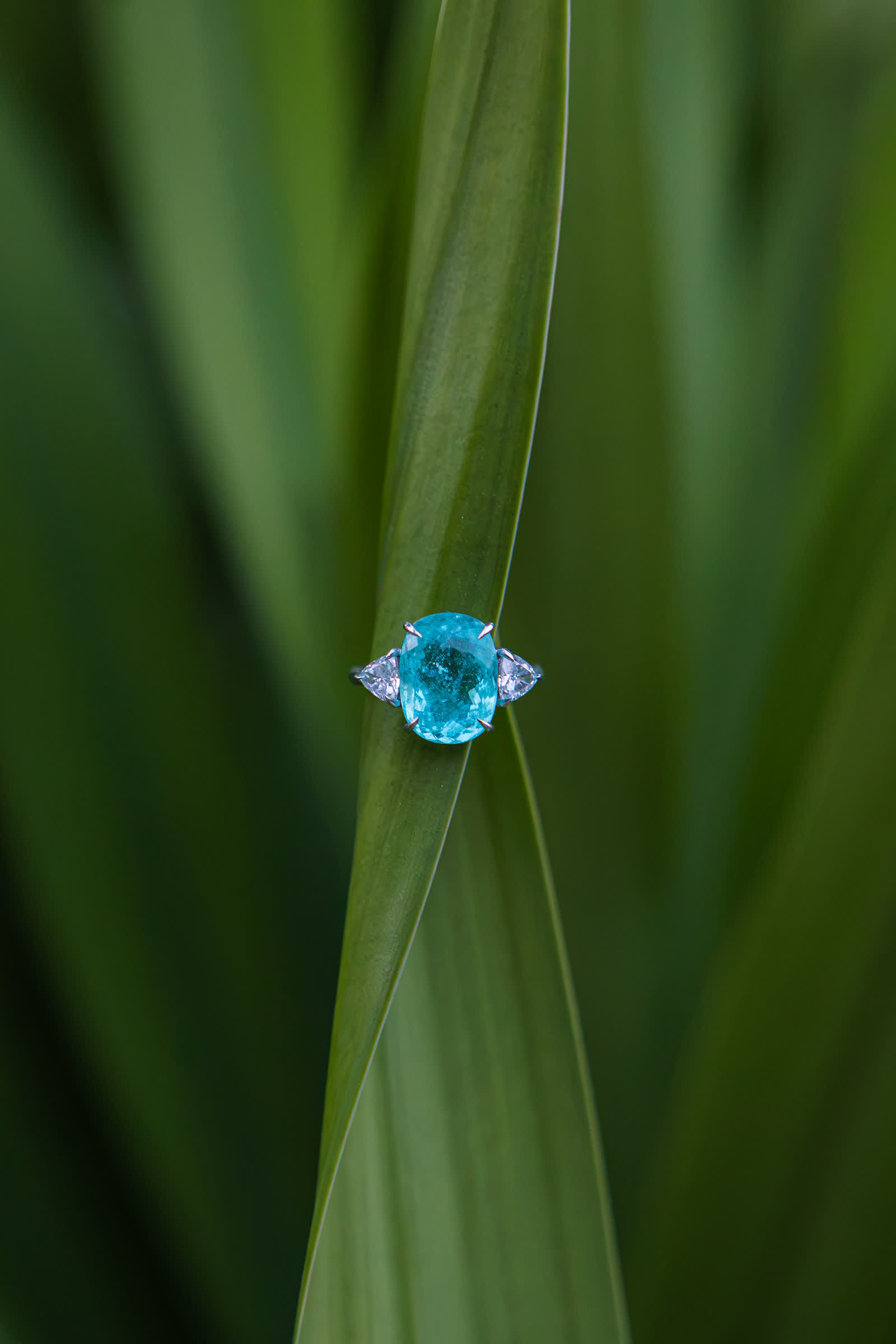 Ocean Ring — an oval Paraíba tourmaline between two trillion diamonds, on foliage