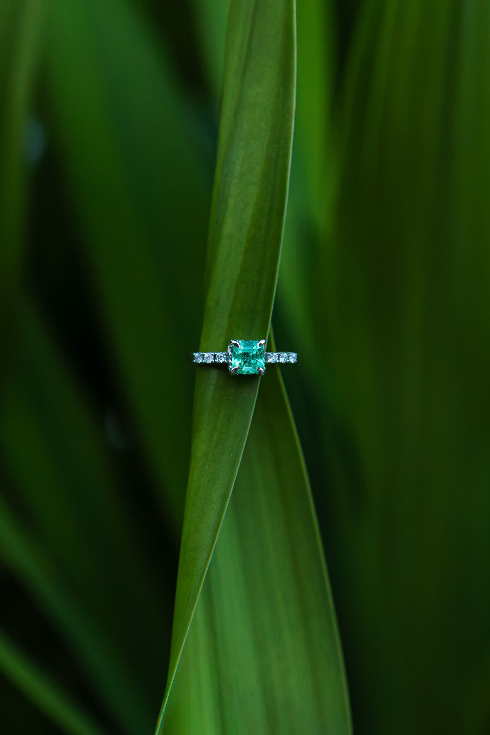 Garden Ring — A square emerald standing alone on a set shank.