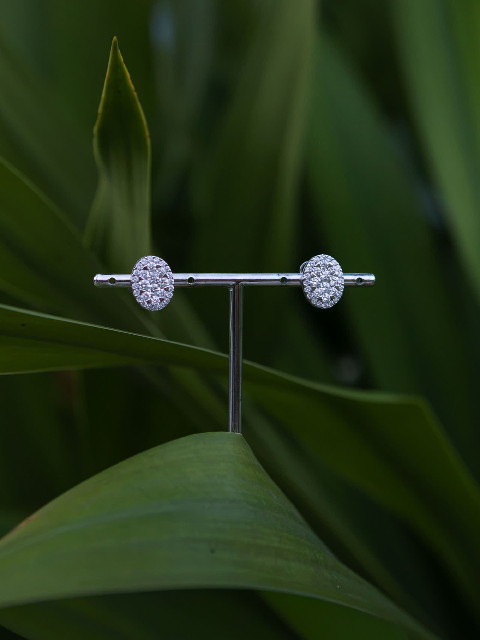 Cushion Earrings — Diamond cushions in a double halo.
